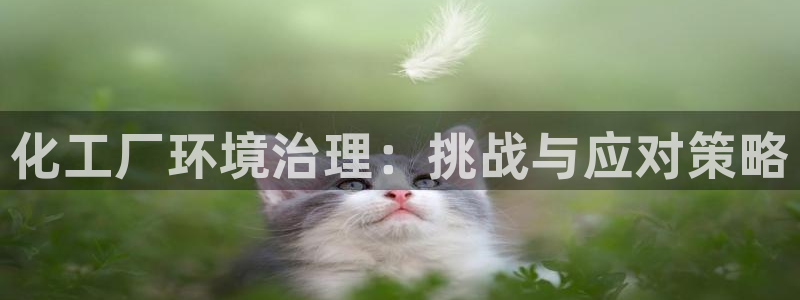 亿万百度百科官网：化工厂环境治理：挑战与应对策略