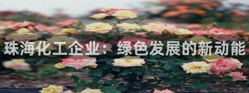 亿万城市手游官网：珠海化工企业：绿色发展的新动能