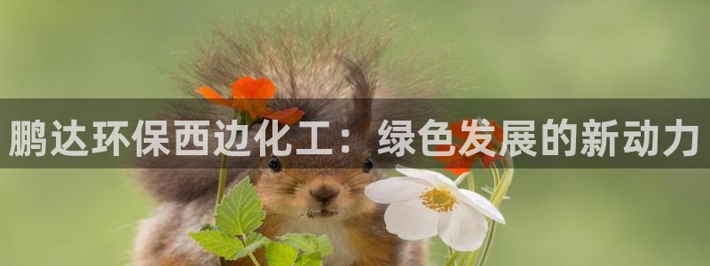 mr8001亿万先生：鹏达环保西边化工：绿色发展的新动力