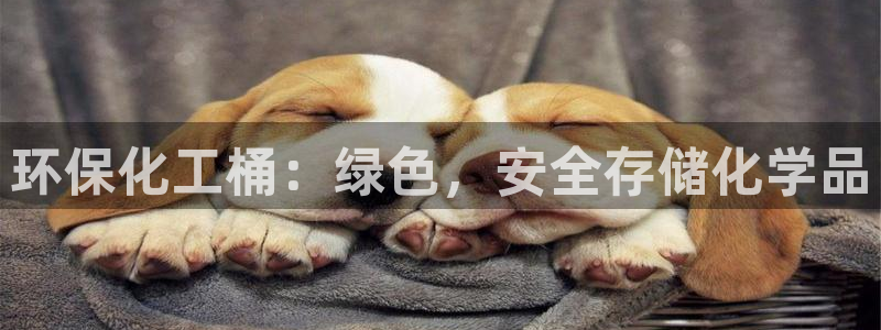 亿万红包版下载正版：环保化工桶：绿色，安全存储化学品