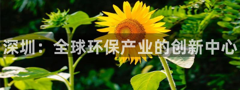 亿万先生网站下载：深圳：全球环保产业的创新中心