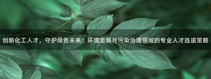 mr8001亿万先生：创新化工人才，守护绿色未来：环境监测与污染治理领域的专业人才选拔策略